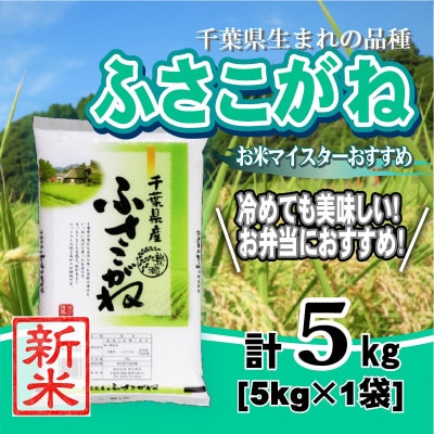 【新米 令和8年産】千葉県産「ふさこがね」精米 5kg(5kg×1袋)