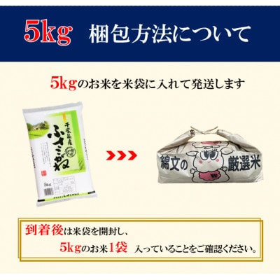 【令和7年産】千葉県産「ふさこがね」精米 5kg(5kg×1袋)