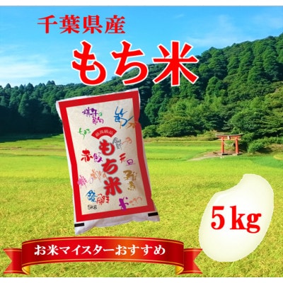 【新米 令和7年産】千葉県産「もち米」精米 5kg(5kg×1袋)