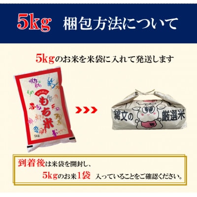 【新米 令和7年産】千葉県産「もち米」精米 5kg(5kg×1袋)