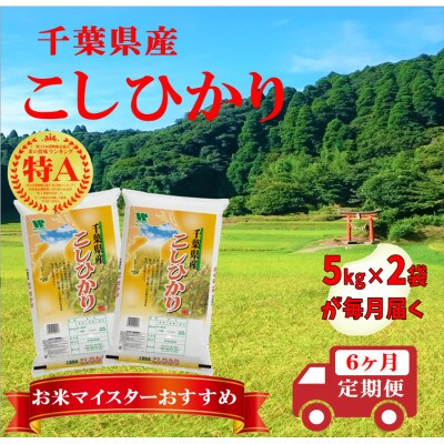 【毎月定期便】コシヒカリ 精米 10kg (5kg×2袋)全6回