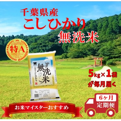 【毎月定期便】コシヒカリ 無洗米 5kg (5kg×1袋)全6回