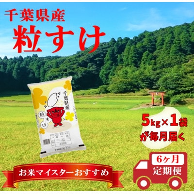 【毎月定期便】粒すけ 精米 5kg (5kg×1袋)全6回