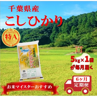 【発送月固定定期便】コシヒカリ 精米 5kg(5kg×1袋)全6回