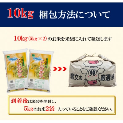 【毎月定期便】コシヒカリ 精米 10kg (5kg×2袋)全5回