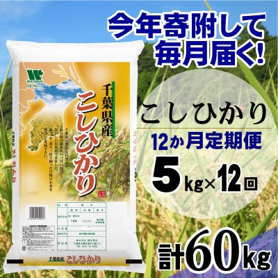 【毎月定期便】コシヒカリ 精米 5kg(5kg×1袋)全12回