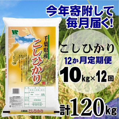 【毎月定期便】コシヒカリ 精米 10kg (5kg×2袋)全12回