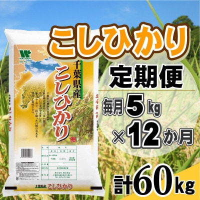 【毎月定期便】コシヒカリ 精米 5kg (5kg×1袋)全12回