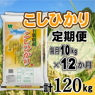 【毎月定期便】コシヒカリ 精米 10kg (5kg×2袋)全12回