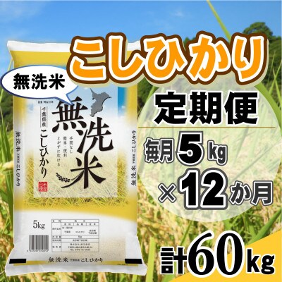 【毎月定期便】コシヒカリ 無洗米 5kg (5kg×1袋)全12回