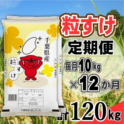 【毎月定期便】粒すけ 精米 10kg (5kg×2袋)全12回