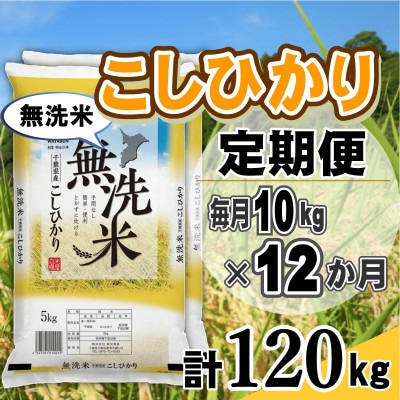 【毎月定期便】コシヒカリ 無洗米 10kg (5kg×2袋)全12回