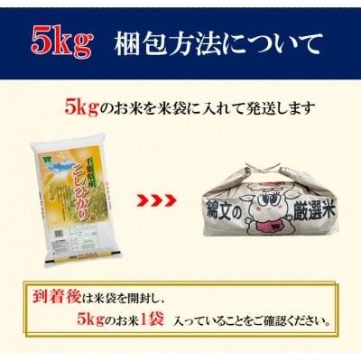 【毎月定期便】コシヒカリ 精米 5kg (5kg×1袋)全7回