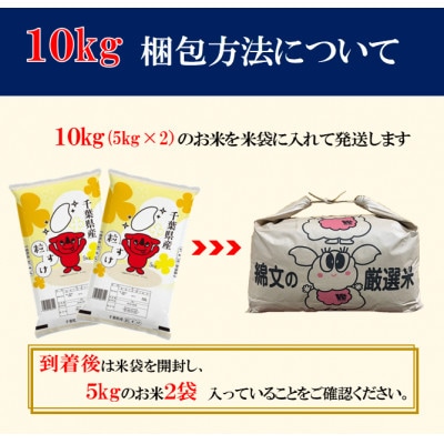 【毎月定期便】粒すけ 精米 10kg (5kg×2袋)全6回