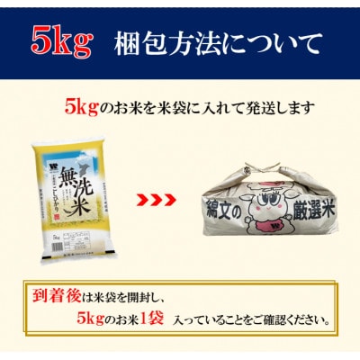 【毎月定期便】コシヒカリ 無洗米 5kg (5kg×1袋)全3回