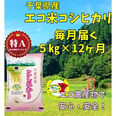 2022年11月発送開始『定期便』千葉県産エコ米コシヒカリ5kg　全12回