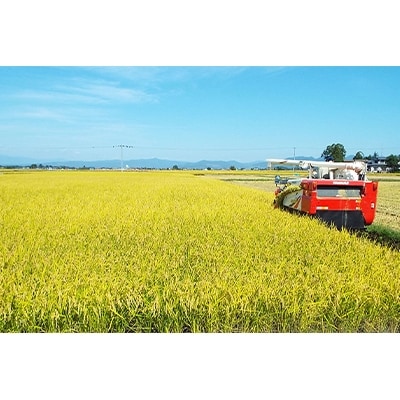 2022年11月発送開始『定期便』千葉県産エコ米コシヒカリ5kg　全12回