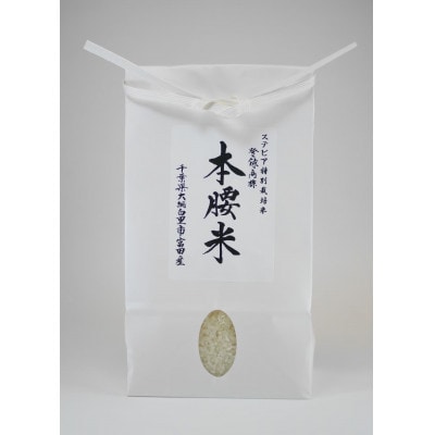 本腰米(白)10kg 特Aコシヒカリ(精米)