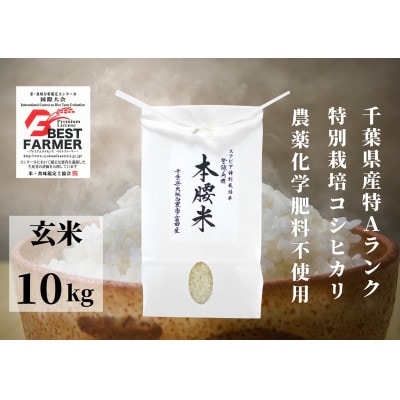 本腰米(玄米)10kg 特Aコシヒカリ