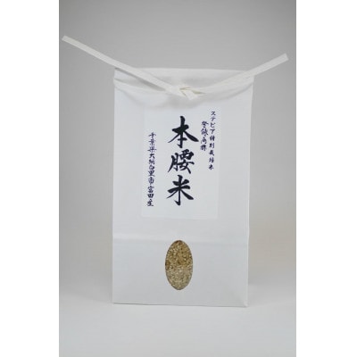 本腰米(玄米)10kg 特Aコシヒカリ