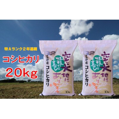 【令和3年産】千葉県産コシヒカリ 精米 20kg (10kg×2袋)