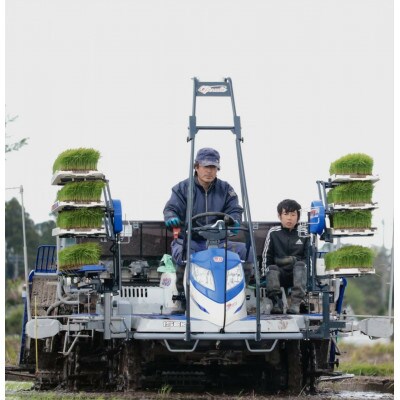 【令和3年産】千葉県産コシヒカリ 精米 20kg (10kg×2袋)
