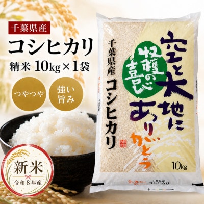 【新米先行受付 令和8年産】コシヒカリ 精米 10kg (10kg×1袋)　8月下旬以降順次発送予定