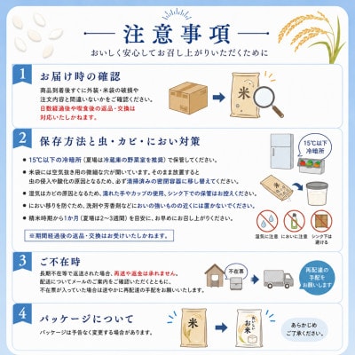 【新米先行受付 令和8年産】コシヒカリ 精米 10kg (10kg×1袋)　8月下旬以降順次発送予定