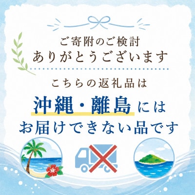 【新米先行受付 令和8年産】コシヒカリ 精米 10kg (10kg×1袋)　8月下旬以降順次発送予定