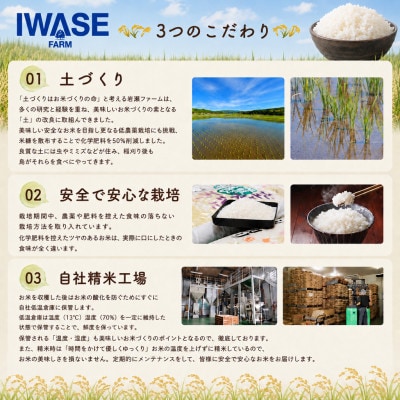 【新米先行受付 令和8年産】コシヒカリ 精米 10kg (10kg×1袋)　8月下旬以降順次発送予定