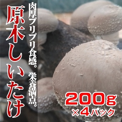 原木しいたけ　約200g×4パック【11月中旬から順次発送予定】