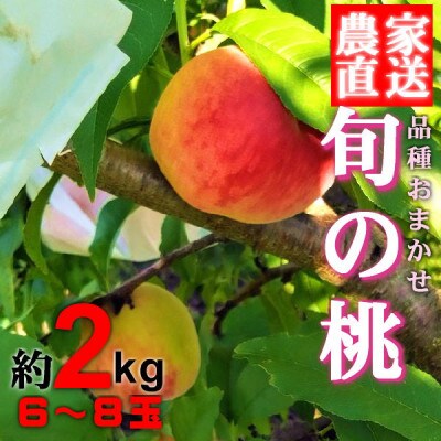 品種おまかせ 旬の桃 約2kg(6～8玉) 朝どれ 農家直送【6月中旬から順次発送予定】