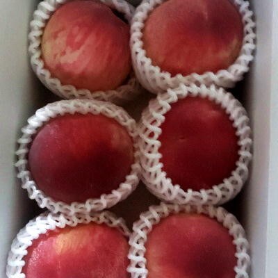 品種おまかせ 旬の桃 約2kg(6～8玉) 朝どれ 農家直送【6月中旬から順次発送予定】