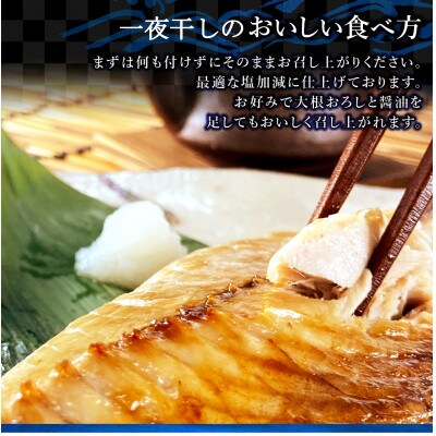 金華さば一夜干し 150g×10枚+金華さばみりん干し 150g×10枚(gset-10)
