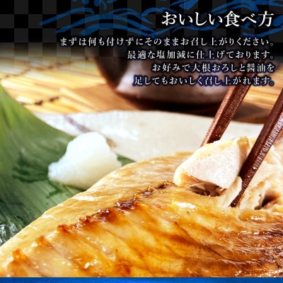 金華さば一夜干し 150g×10枚(b002-01)