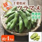 【令和8年産 5月より順次発送】<訳あり>千葉県産 ソラマメ  4kg  農家直送