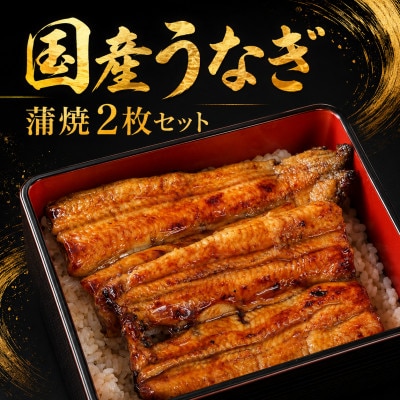【国産うなぎ】2枚セット(蒲焼) 簡単調理!温めるだけでふっくら