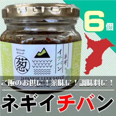 千葉県大網白里市産長ネギ使用★ネギイチバン★6個セット