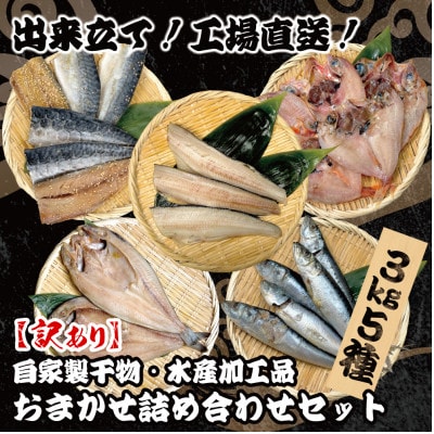 【訳あり】出来立て!工場直送! 自家製干物・水産加工品おまかせ詰め合わせセット 5種　3kg