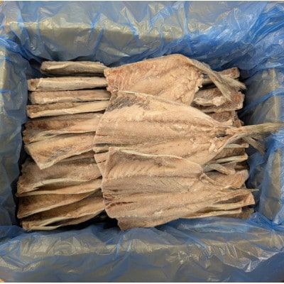 【1日10件限定】出来立て!工場直送! 自家製アジの干物 合計約4.5kg 訳あり