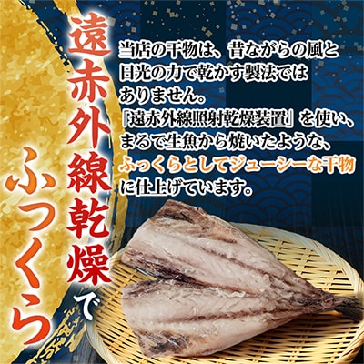 【1日10件限定】出来立て!工場直送! 自家製アジの干物 合計約4.5kg 訳あり