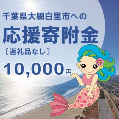 【返礼品なし】大網白里市への寄附 〔10,000円分〕