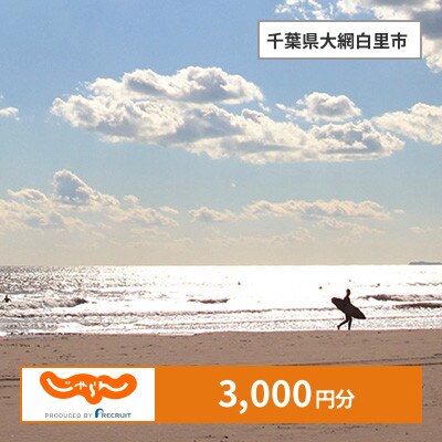 【じゃらんふるさと納税クーポン】 千葉県大網白里市でつかえる3,000円 クーポン