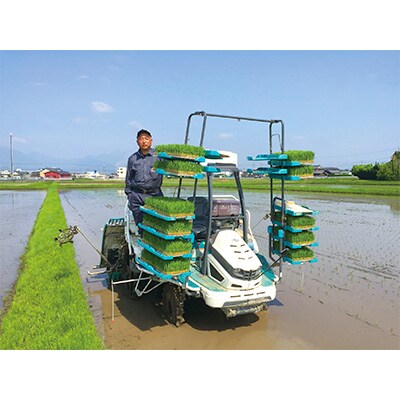 2022年10月発送開始『定期便』令和4年産 ミルキークィーン白米10kg4ヶ月連続 全4回
