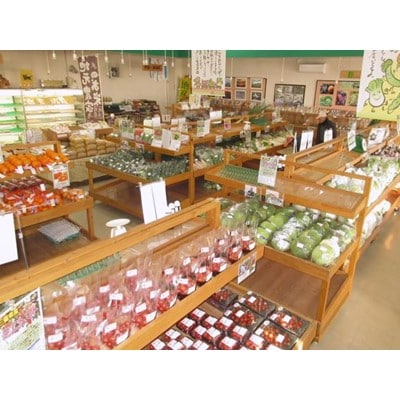 三重県いなべ市の農産物直売所「ふれあいの駅うりぼう」より「旬の新鮮野菜・果物セット」をお届けします!