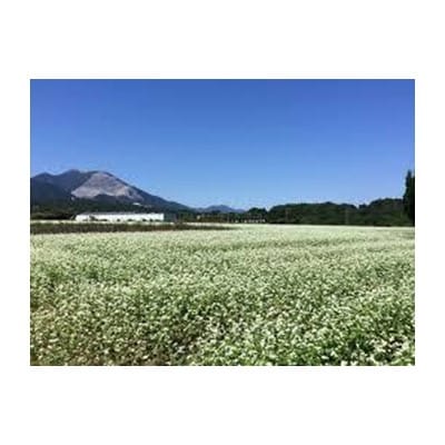 三重県いなべ市の農産物直売所 ふれあいの駅うりぼう より選りの逸品 米 酒 蕎麦 お礼品詳細 ふるさと納税なら さとふる