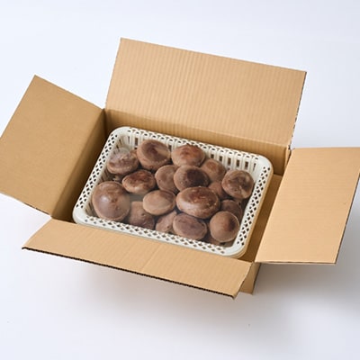 贈答品用椎茸かご盛りセット