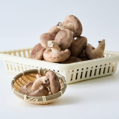 贈答品用椎茸かご盛りセット