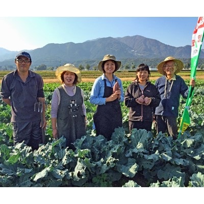 陽光ビオファームの「体が喜ぶ」旬の7種の野菜セット(夏季)