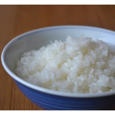 令和8年産コシヒカリ 多湖農園の『はじめの一穂』8.8kg 精米